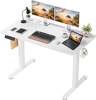 48 x 24 in Electric Standing Desk - Memory Height Adjustable Ergonomic Sit-to-Stand Rising Computer Table Gaming Workstations with 2 Hooks and Wire Hole for Home Office, White