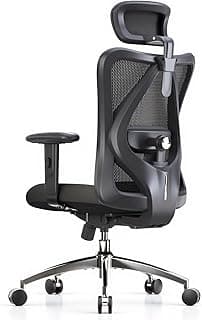 SIHOO M18 Ergonomic Office Chair, High Back Mesh Desk Chair with Adjustable Headrest & Lumbar Support, 330lbs Capacity Computer Chair with 2D Armrests & Wide Cushion, Tilt Lock, for Home Office-Black