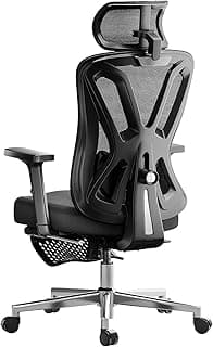 Hbada P5 Ergonomic Office Chair, Desk Chair with Adjustable Lumbar Support and Height, Comfortable Mesh Computer Chair with Footrest 2D Headrest, Swivel Tilt Function Black