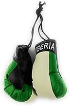 Hanging Car Mirror Mini Boxing Gloves (Nigeria)