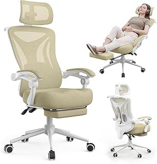 Ergonomic Office Chair with Footrest - Adjustable Lumbar Support & Headrest, 90-160° Reclining Mesh Back Computer Chair - Home Office/Gaming, 350lbs Capacity