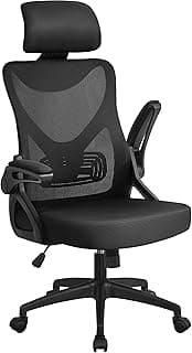 Yaheetech Ergonomic Office Chair, High Back Desk Chair with Headrest and Flip-up Armrest Lumbar Support for Home Office Meeting Room Study, Black