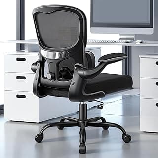 ALLGOD Ergonomic Office Chair, Breathable Mesh Ergonomic Desk Chair with Adjustable Lumbar Support, Flip-up Armrests, Computer Chairs Comfortable for Home, Office, Work, 300lbs, Black, Upgrade