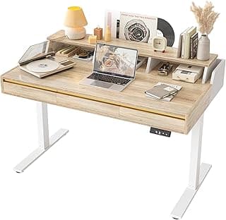 TIQLAB Standing Desk with 3 Drawers, 47" Electirc Sit Stand Desk with Storage, Height Adjustable Computer Desk, Modern Home Office Desk with Monitor Stand, Maple