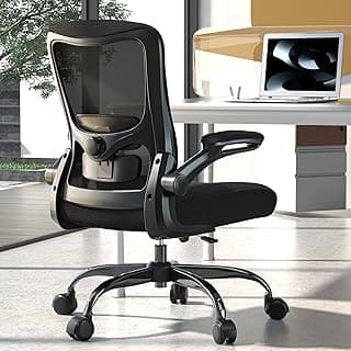 Ergonomic Office Chair - High Back Desk Chair with Adjustable Lumbar Support, Breathable Mesh Back, 330LBS Capacity, Easy Assembly, for Home Office Executive Computer Task
