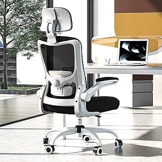 Ergonomic Office Chair, High Back Mesh Desk Chair with Adjustable Lumbar Support & Headrest, Flip-up Armrest, Computer Task Chairs for Home and Executive Office (W-Black)